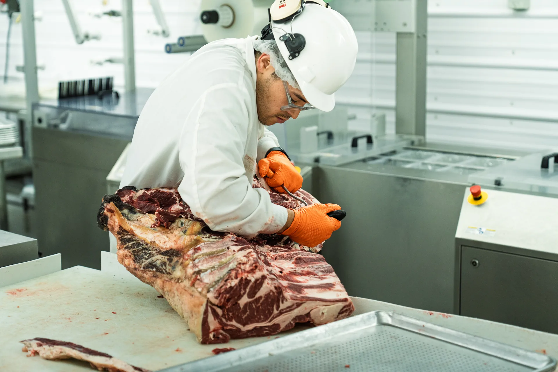 Cooler rack of hanging beef at Hat Creek Butchery