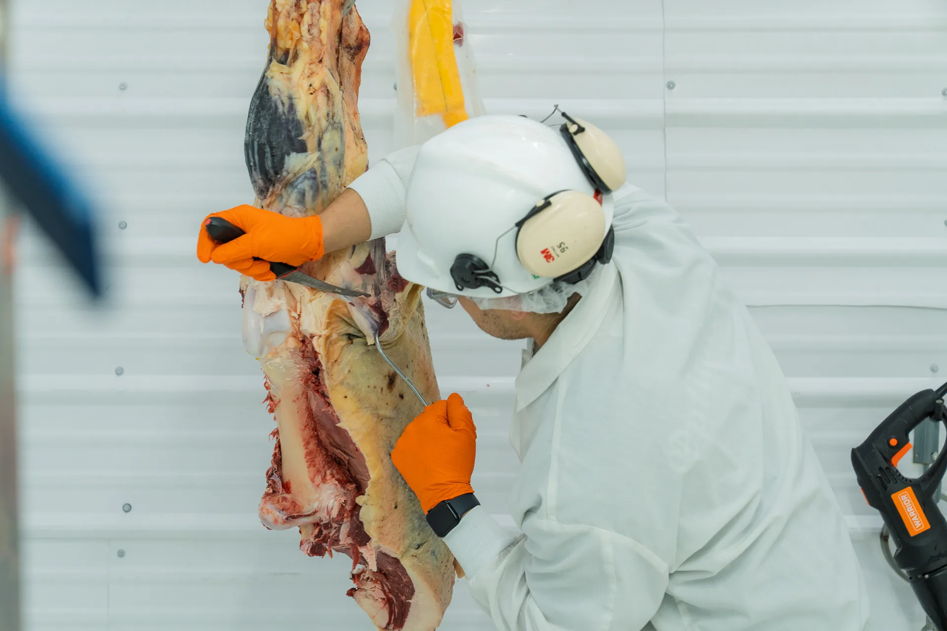 A Hat Creek butcher breaking down a beef carcass in the cutting room